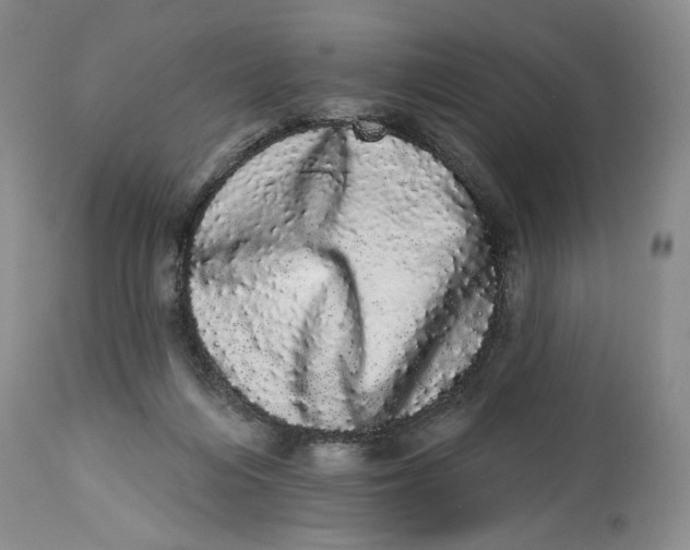 X0000113980216200910231715