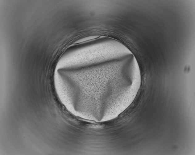 X0000113980217200910231715
