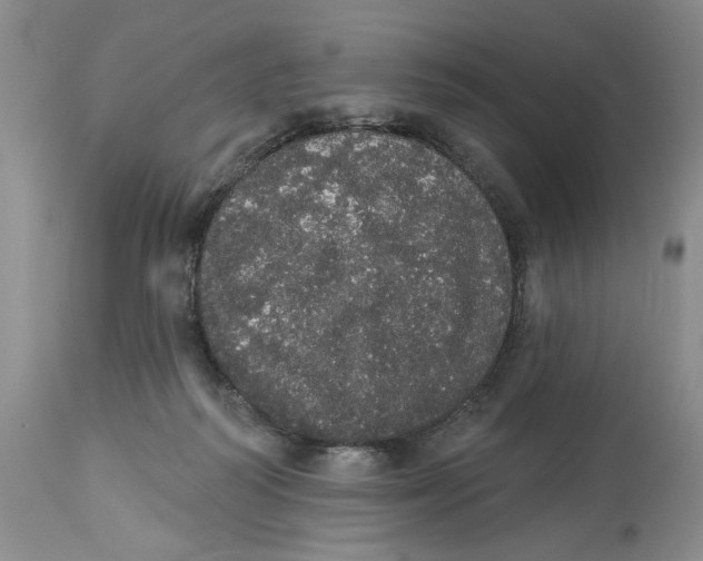 X0000113980218200910231715