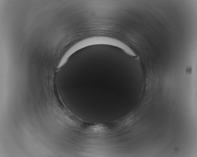 X0000113980219200910231715