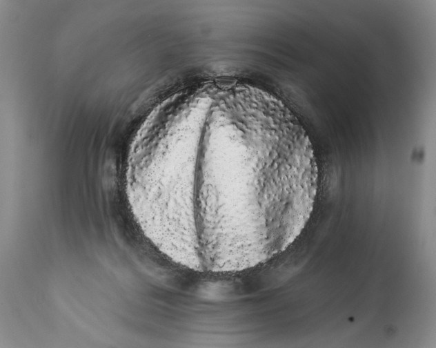 X0000113980220200910231715