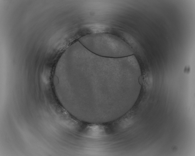 X0000113980221200910231715