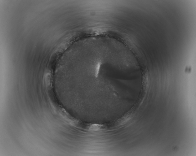 X0000113980222200910231715
