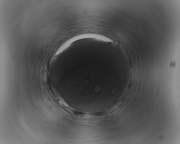 X0000113980223200910231715