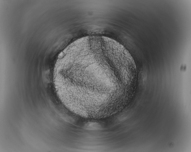 X0000113980224200910231715