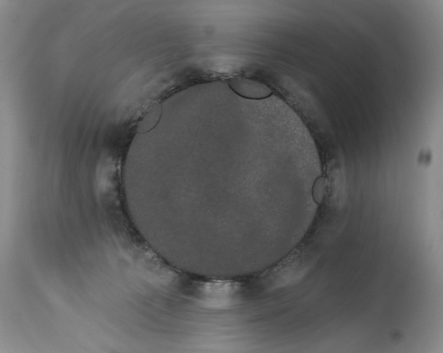 X0000113980225200910231715