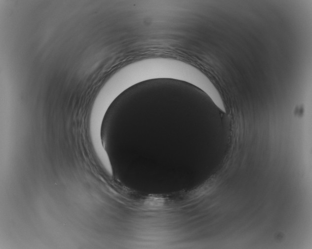 X0000113980227200910231715