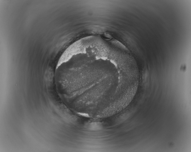 X0000113980228200910231715