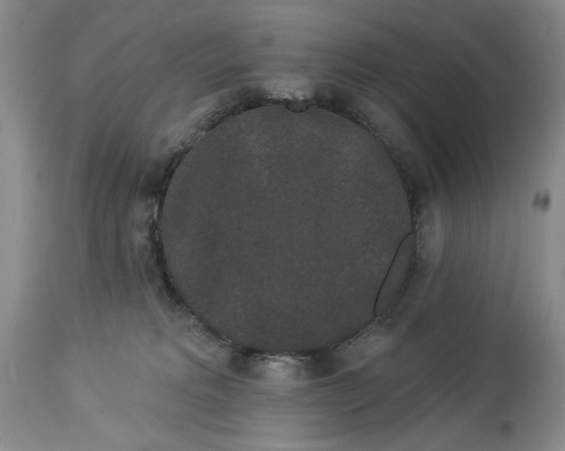 X0000113980229200910231715