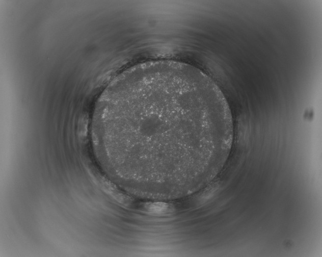 X0000113980230200910231715