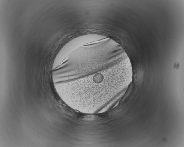 X0000113980231200910231715