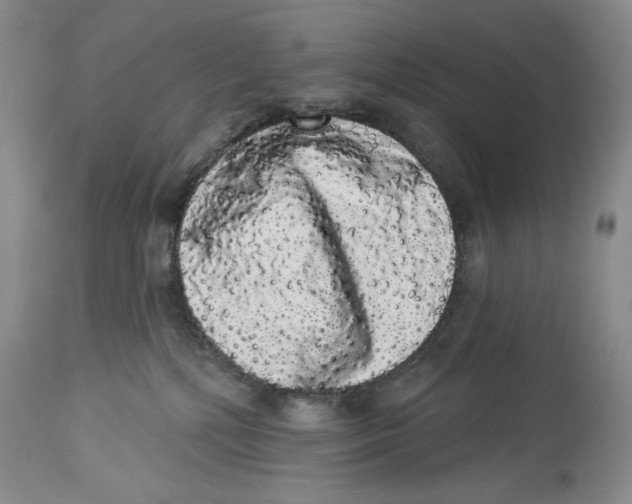 X0000113980232200910231715