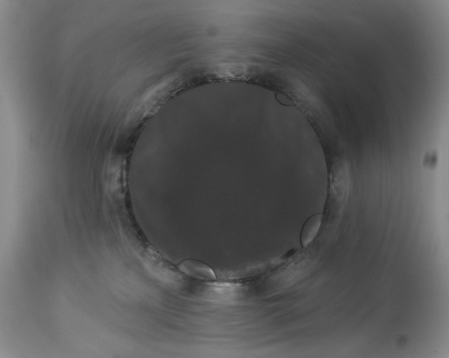 X0000113980233200910231715