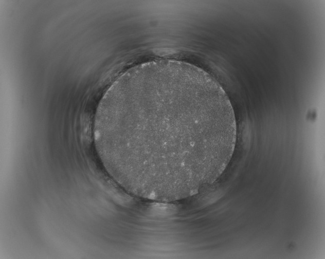 X0000113980234200910231715