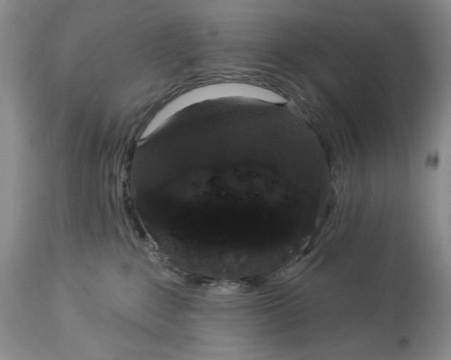X0000113980235200910231715