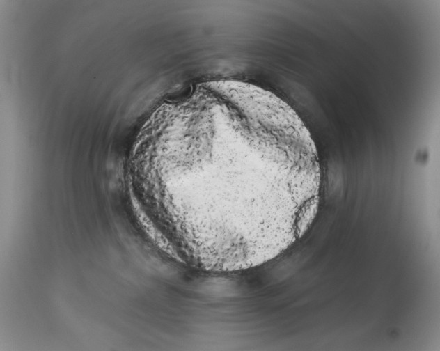 X0000113980236200910231715
