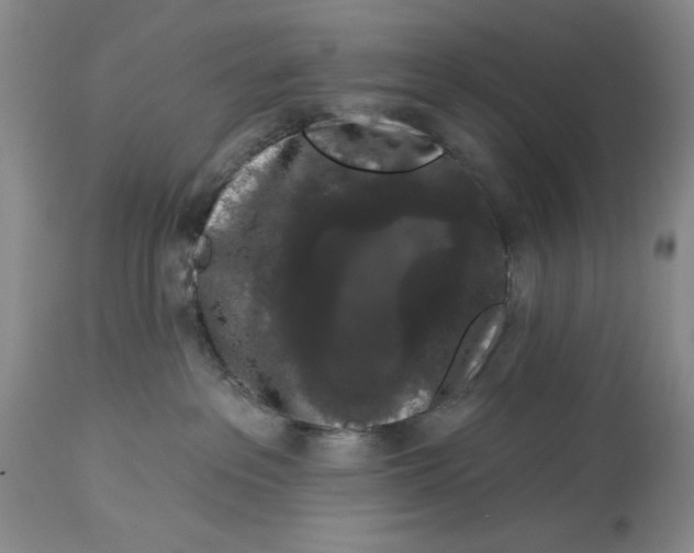 X0000113980237200910231715