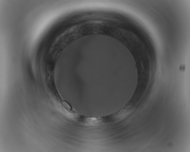 X0000113980239200910231715