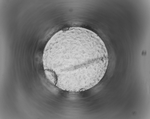 X0000113980240200910231715