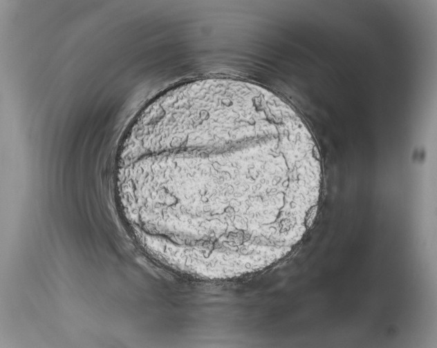 X0000113980241200910231714