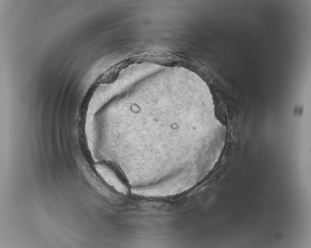 X0000113980242200910231714