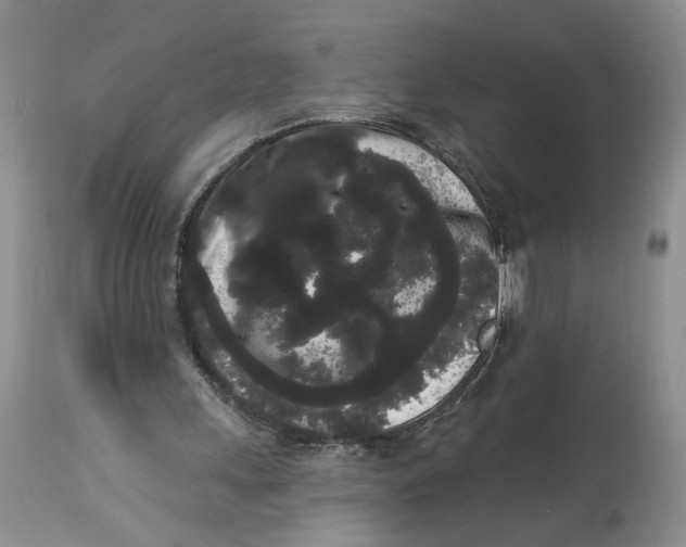 X0000113980243200910231714