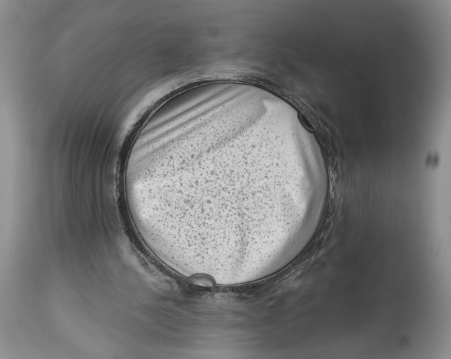 X0000113980244200910231714