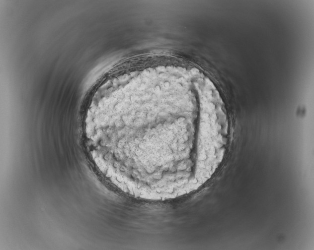 X0000113980245200910231714