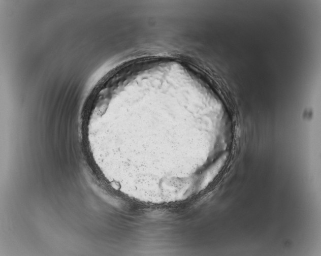 X0000113980246200910231714