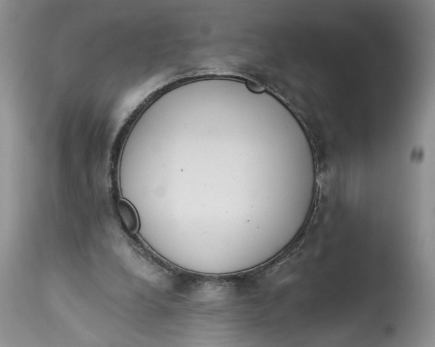 X0000113980248200910231714