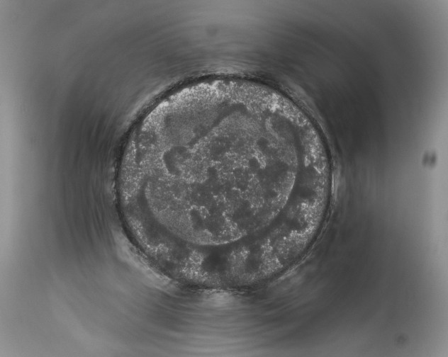 X0000113980249200910231714