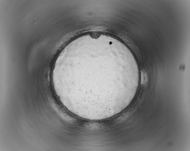 X0000113980253200910231714