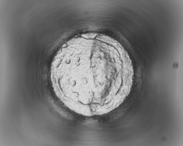 X0000113980257200910231714