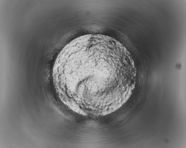 X0000113980259200910231714
