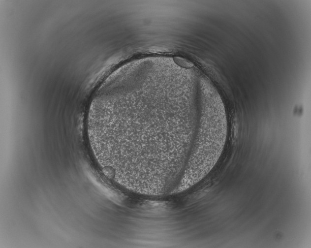 X0000113980260200910231714