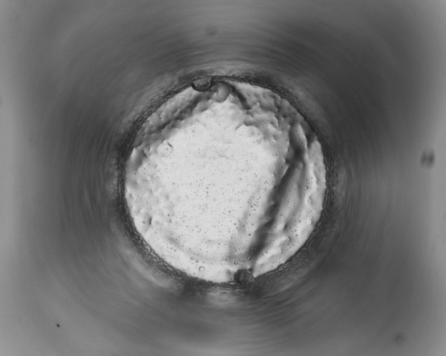 X0000113980261200910231714