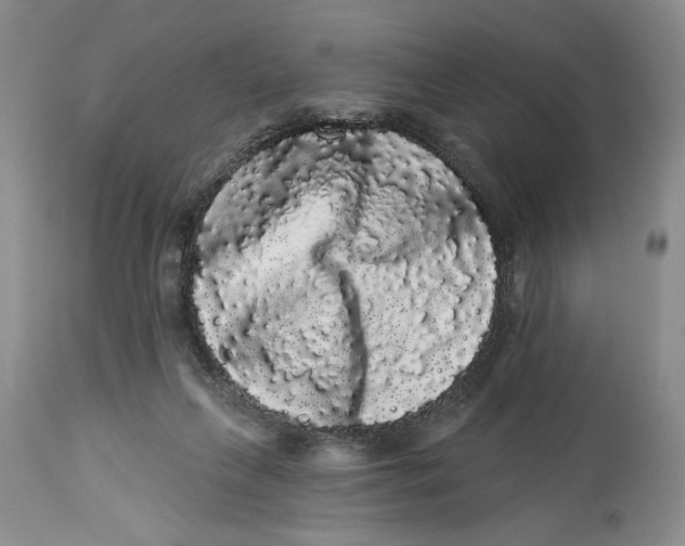 X0000113980263200910231714
