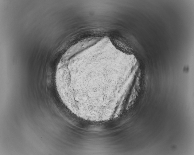 X0000113980266200910231714