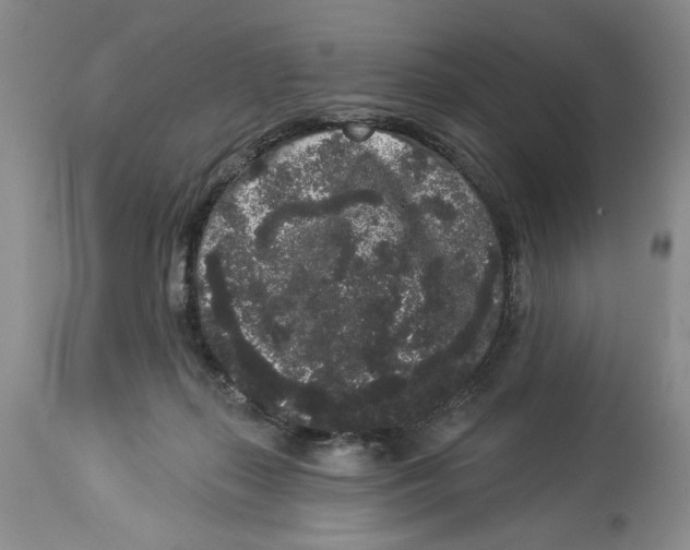 X0000113980267200910231714