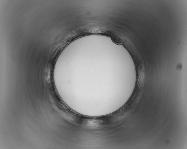 X0000113980268200910231714
