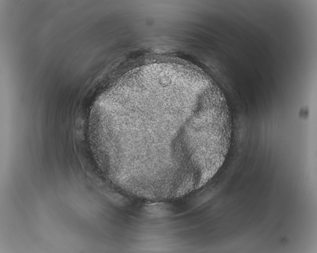 X0000113980269200910231714