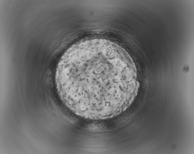 X0000113980270200910231714