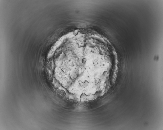 X0000113980273200910231714