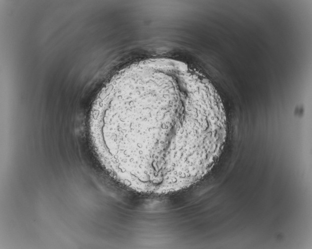 X0000113980274200910231714