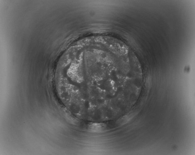 X0000113980277200910231715