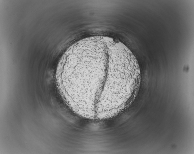 X0000113980278200910231715