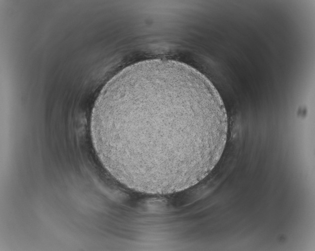 X0000113980279200910231715