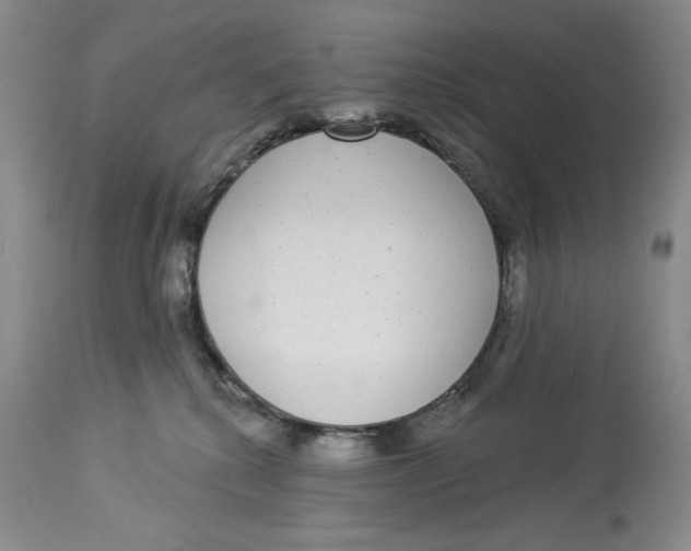 X0000113980280200910231715