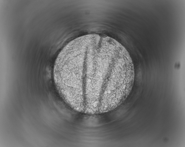 X0000113980282200910231715