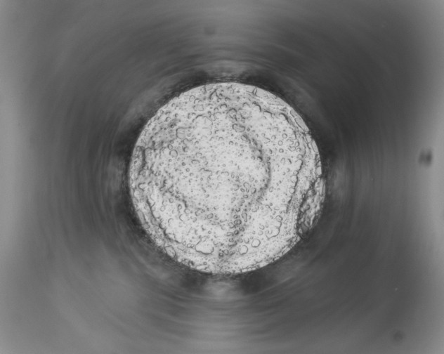 X0000113980283200910231715